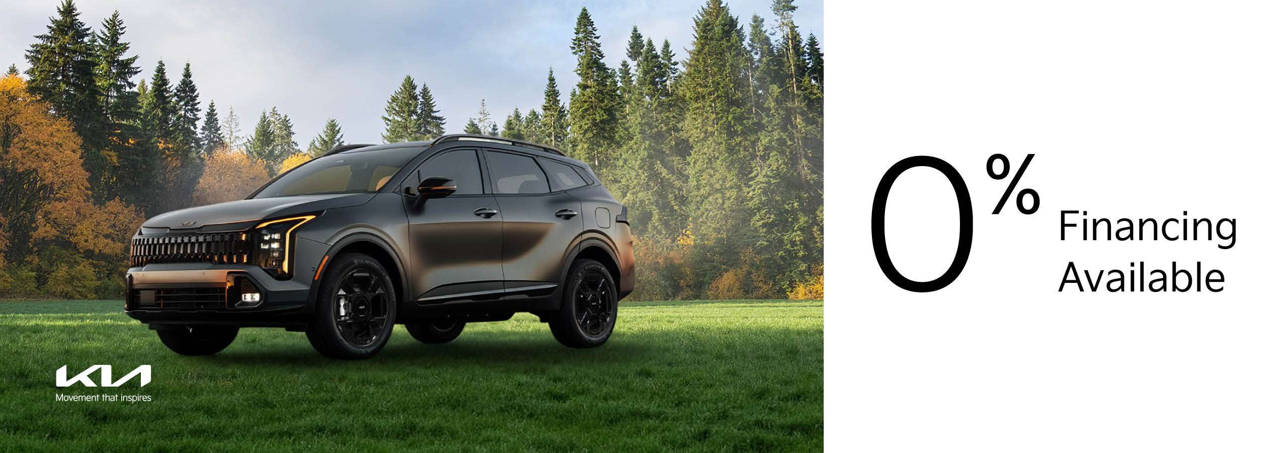 Go Kia South: 0% Financing Available